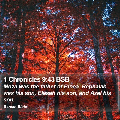 1 Chronicles 9:43 BSB Bible Verse Image