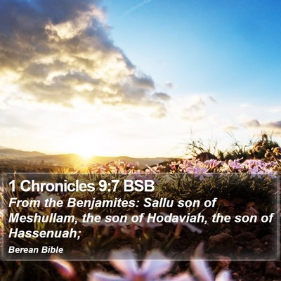 1 Chronicles 9:7 BSB Bible Verse Image