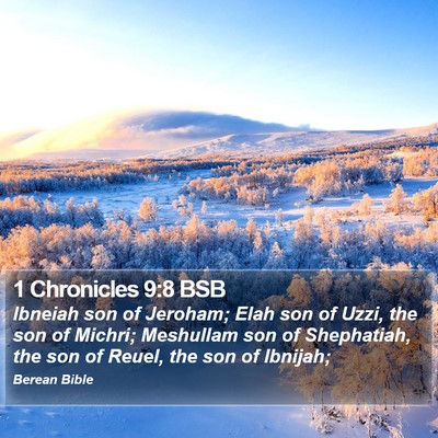 1 Chronicles 9:8 BSB Bible Verse Image