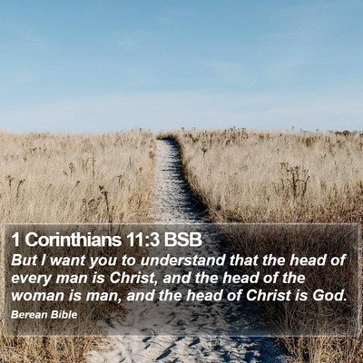 1 Corinthians 11:3 BSB Bible Verse Image
