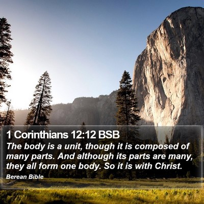 1 Corinthians 12:12 BSB Bible Verse Image