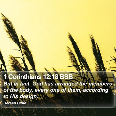 1 Corinthians 12:18 BSB Bible Verse Image