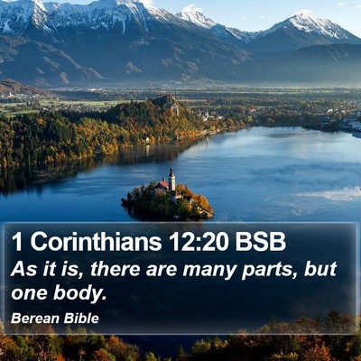 1 Corinthians 12:20 BSB Bible Verse Image