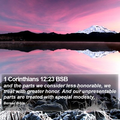 1 Corinthians 12:23 BSB Bible Verse Image