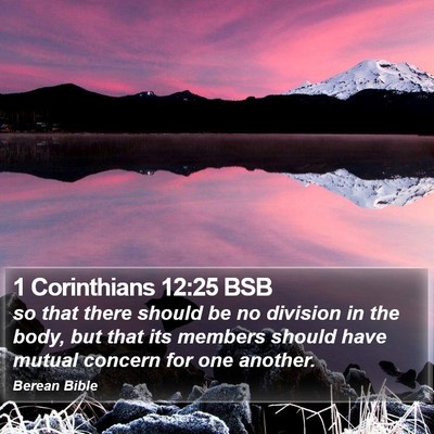 1 Corinthians 12:25 BSB Bible Verse Image