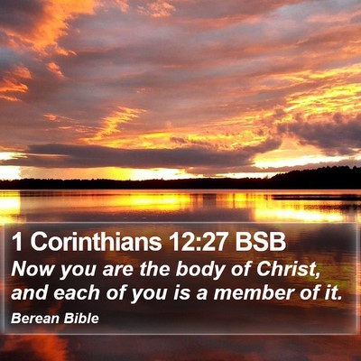 1 Corinthians 12:27 BSB Bible Verse Image
