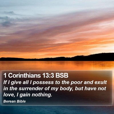 1 Corinthians 13:3 BSB Bible Verse Image