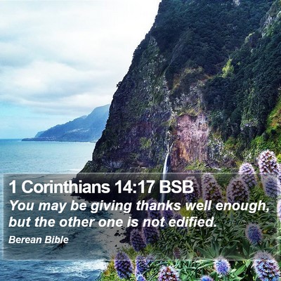 1 Corinthians 14:17 BSB Bible Verse Image