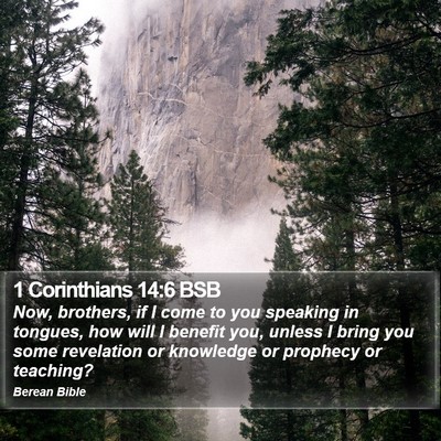 1 Corinthians 14:6 BSB Bible Verse Image