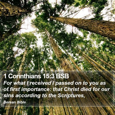 1 Corinthians 15:3 BSB Bible Verse Image