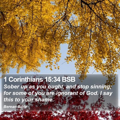 1 Corinthians 15:34 BSB Bible Verse Image