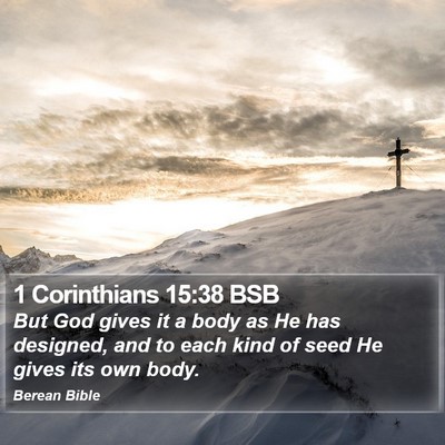 1 Corinthians 15:38 BSB Bible Verse Image