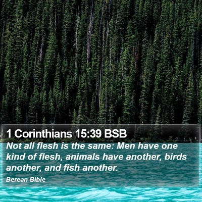 1 Corinthians 15:39 BSB Bible Verse Image