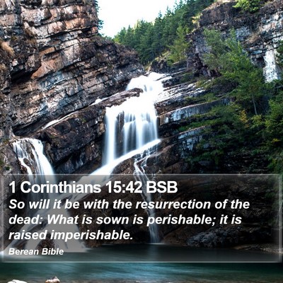 1 Corinthians 15:42 BSB Bible Verse Image