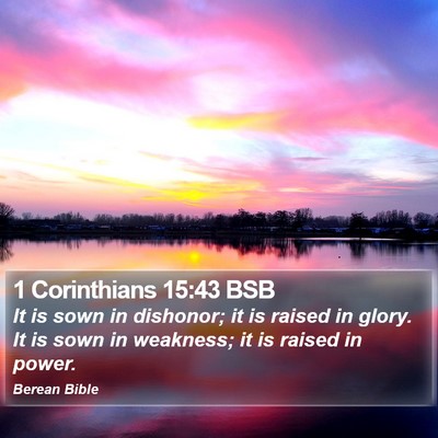 1 Corinthians 15:43 BSB Bible Verse Image