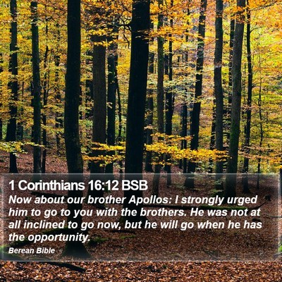 1 Corinthians 16:12 BSB Bible Verse Image