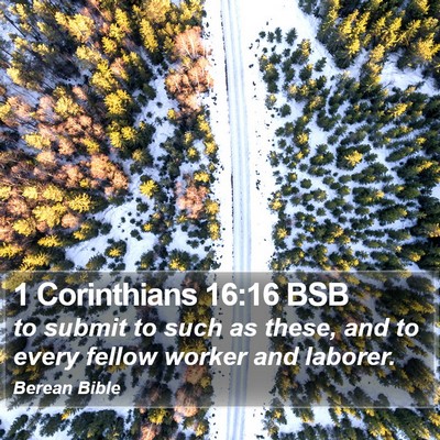 1 Corinthians 16:16 BSB Bible Verse Image