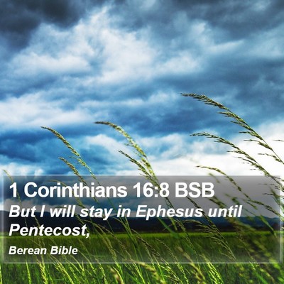 1 Corinthians 16:8 BSB Bible Verse Image