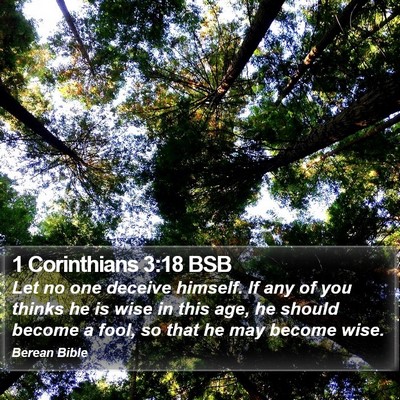 1 Corinthians 3:18 BSB Bible Verse Image