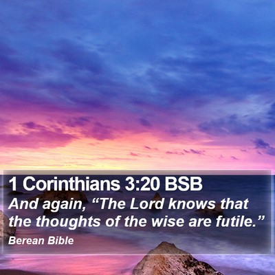 1 Corinthians 3:20 BSB Bible Verse Image