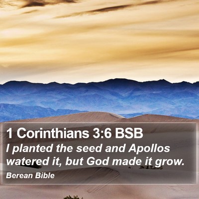 1 Corinthians 3:6 BSB Bible Verse Image