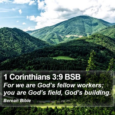 1 Corinthians 3:9 BSB Bible Verse Image