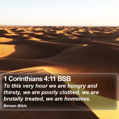 1 Corinthians 4:11 BSB Bible Verse Image