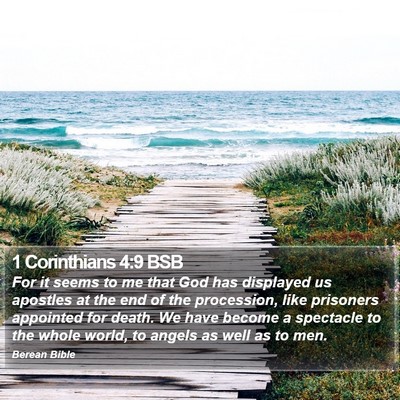 1 Corinthians 4:9 BSB Bible Verse Image