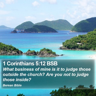 1 Corinthians 5:12 BSB Bible Verse Image