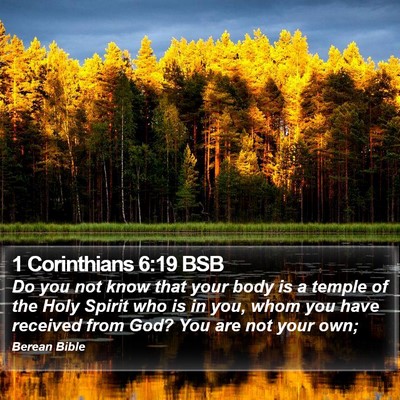 1 Corinthians 6:19 BSB Bible Verse Image