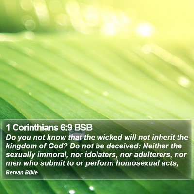 1 Corinthians 6:9 BSB Bible Verse Image