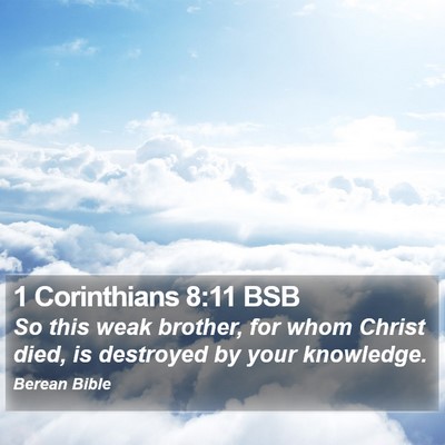 1 Corinthians 8:11 BSB Bible Verse Image