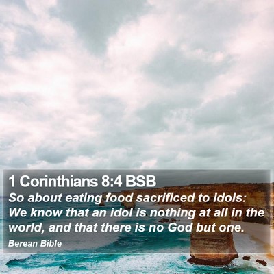 1 Corinthians 8:4 BSB Bible Verse Image