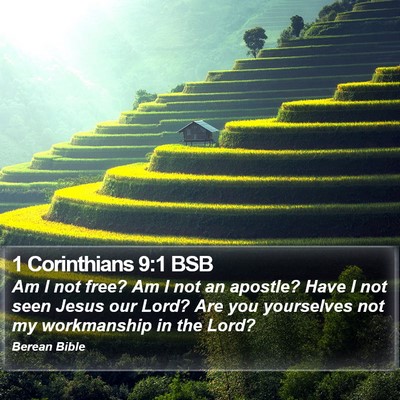 1 Corinthians 9:1 BSB Bible Verse Image