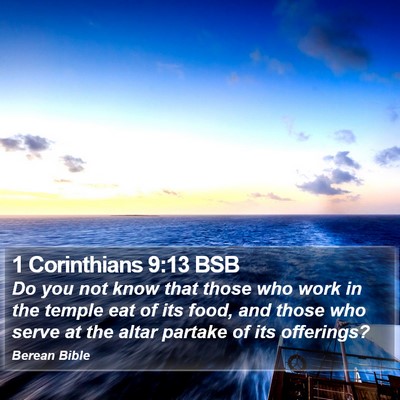 1 Corinthians 9:13 BSB Bible Verse Image