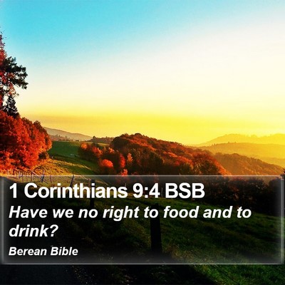 1 Corinthians 9:4 BSB Bible Verse Image