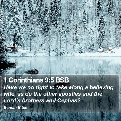 1 Corinthians 9:5 BSB Bible Verse Image
