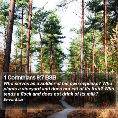 1 Corinthians 9:7 BSB Bible Verse Image