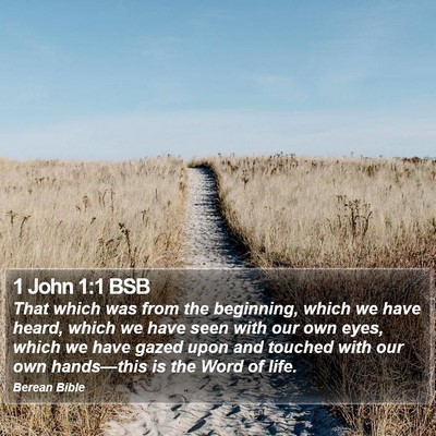 1 John 1:1 BSB Bible Verse Image