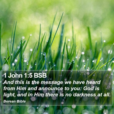 1 John 1:5 BSB Bible Verse Image