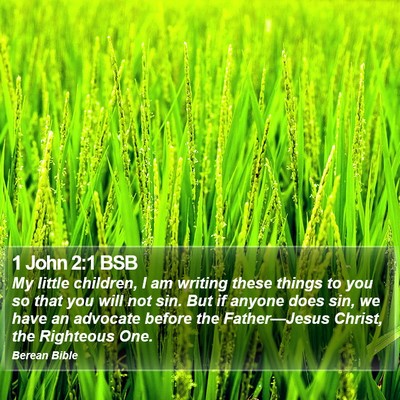 1 John 2:1 BSB Bible Verse Image