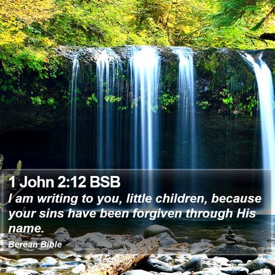 1 John 2:12 BSB Bible Verse Image