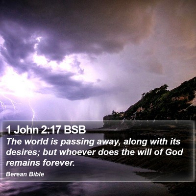 1 John 2:17 BSB Bible Verse Image