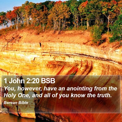 1 John 2:20 BSB Bible Verse Image