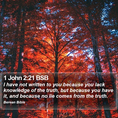 1 John 2:21 BSB Bible Verse Image