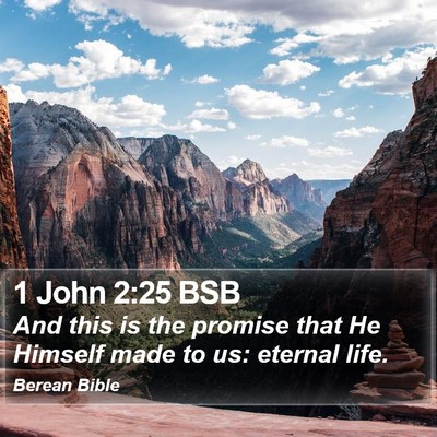 1 John 2:25 BSB Bible Verse Image