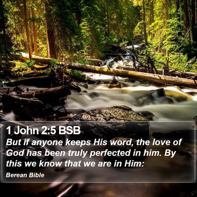 1 John 2:5 BSB Bible Verse Image