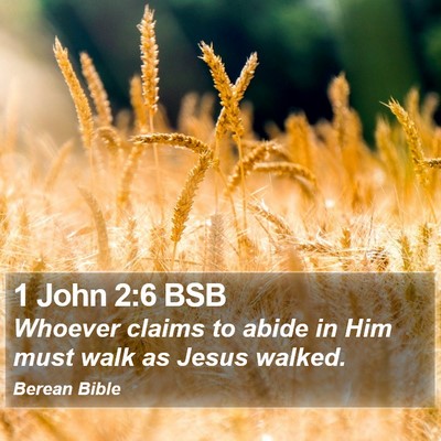1 John 2:6 BSB Bible Verse Image