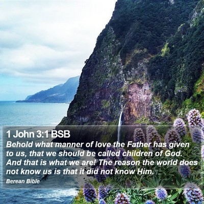 1 John 3:1 BSB Bible Verse Image
