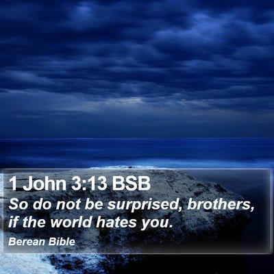 1 John 3:13 BSB Bible Verse Image